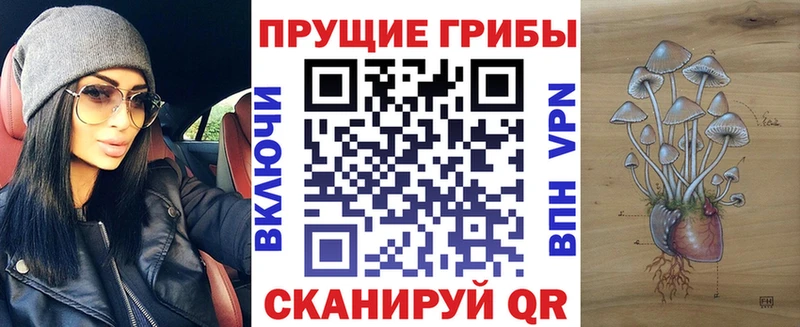 как найти закладки  Богородск  блэк спрут маркетплейс  Галлюциногенные грибы мицелий 